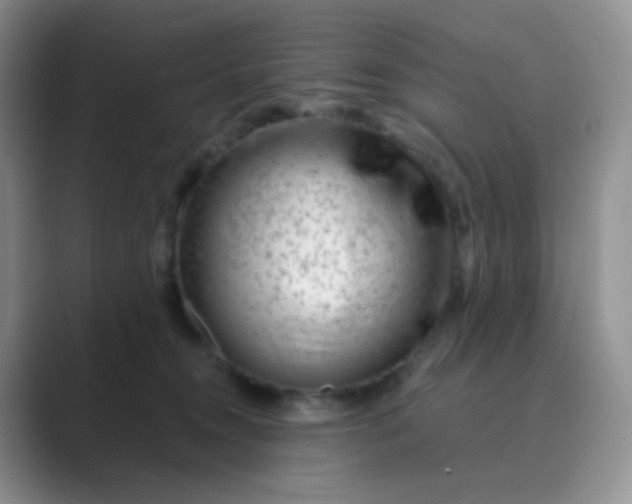 X0000089700372200707051648