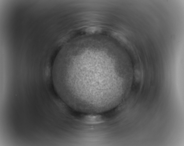 X0000089700375200707051648