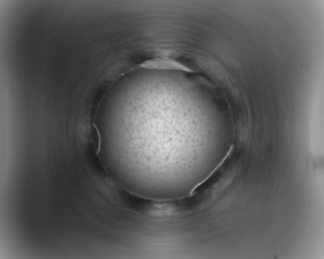 X0000089700376200707051648