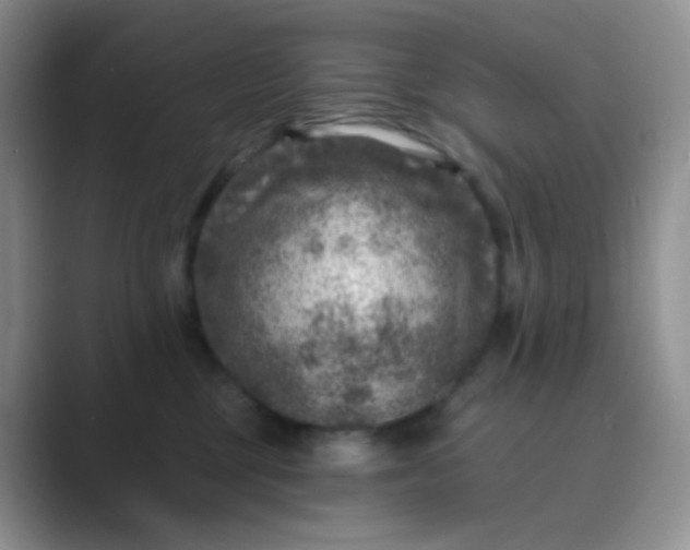 X0000089700377200707051648