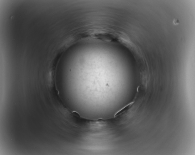 X0000089700378200707051648