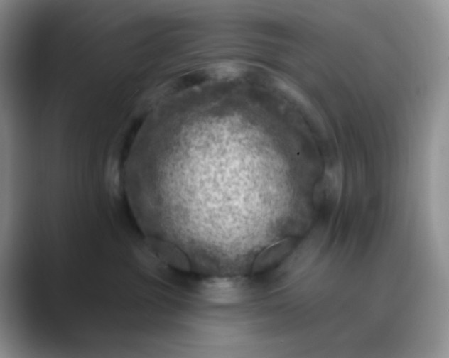 X0000089700381200707051648