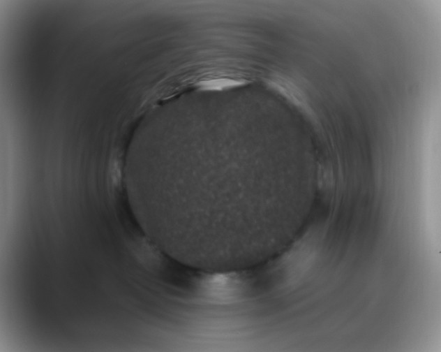 X0000089700382200707051648