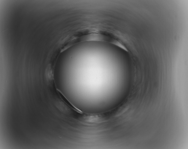 X0000089700384200707051648