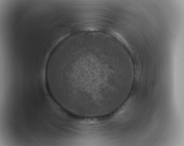 X0000089700386200707051647