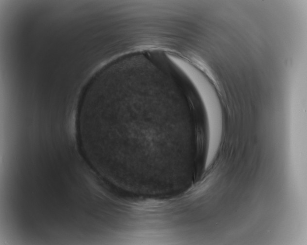 X0000089700387200707051647