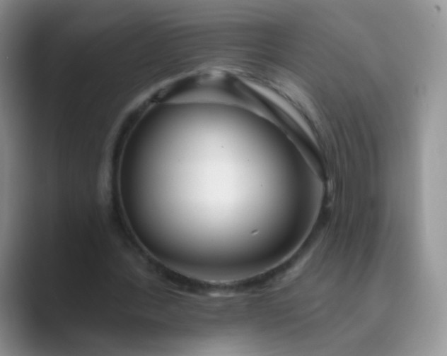 X0000089700388200707051647