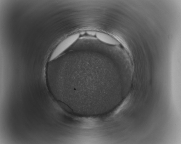 X0000089700389200707051647