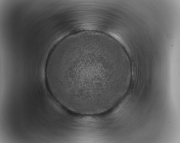 X0000089700390200707051647