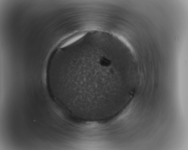 X0000089700391200707051647