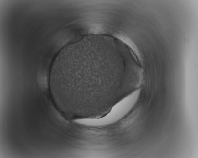 X0000089700393200707051647