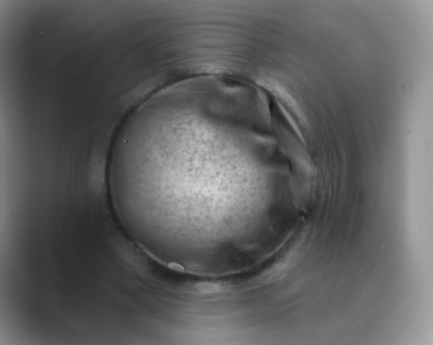 X0000089700394200707051647