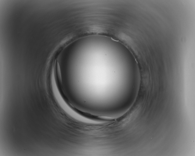 X0000089700395200707051647