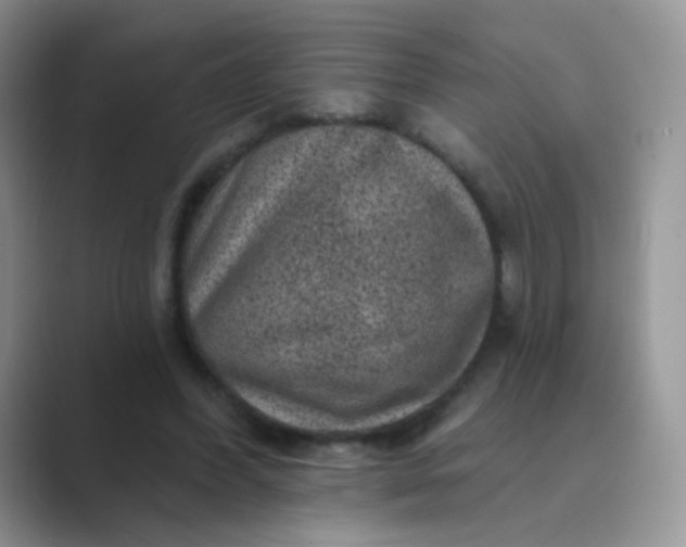 X0000089700396200707051647