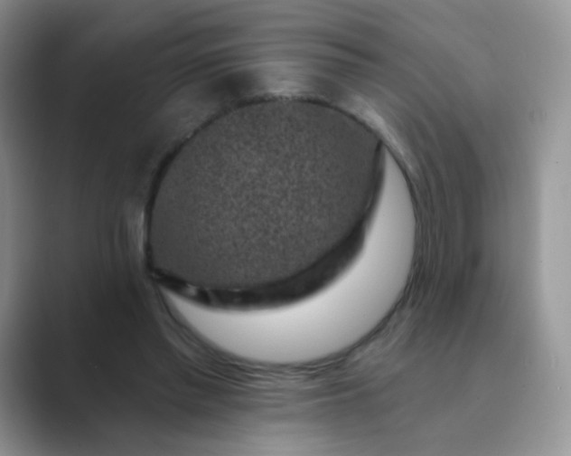 X0000089700397200707051647