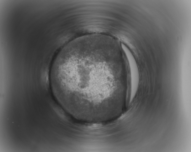 X0000089700398200707051647