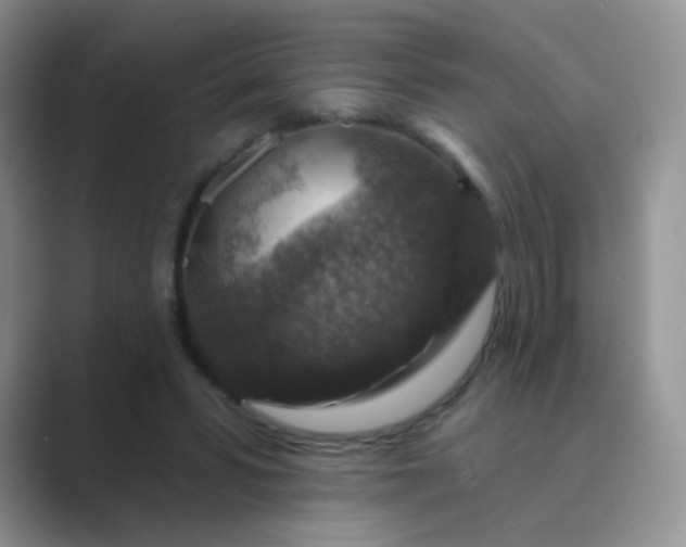 X0000089700399200707051647