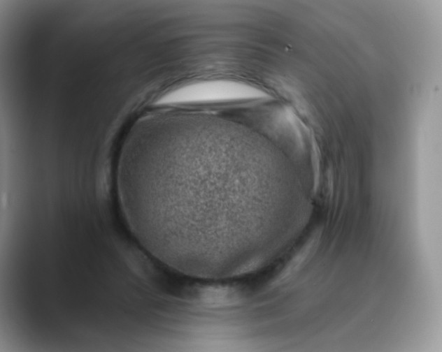 X0000089700400200707051647