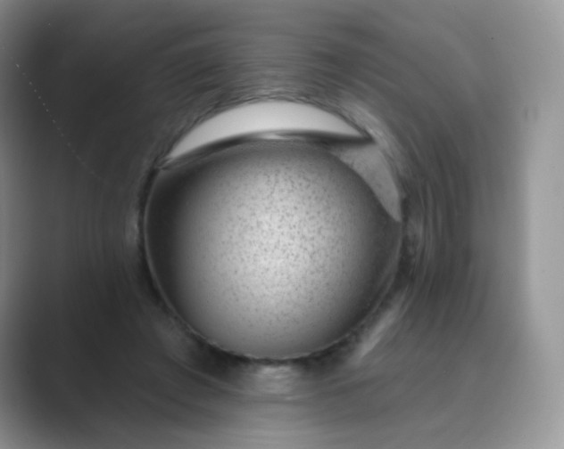 X0000089700401200707051647