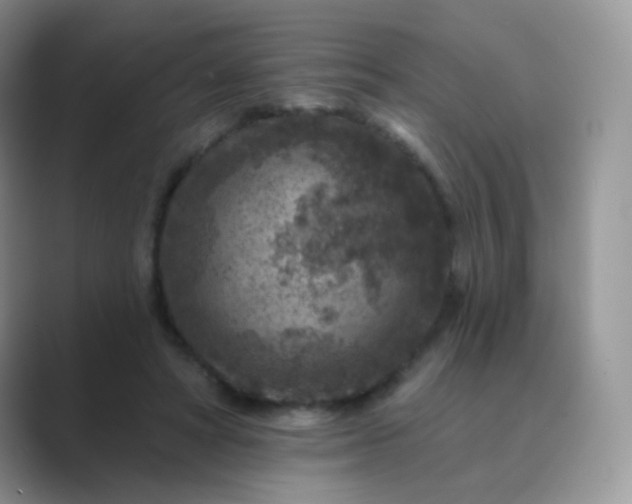 X0000089700402200707051647