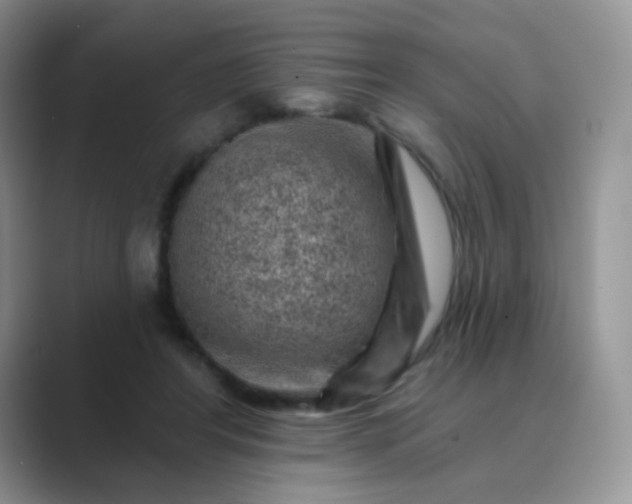 X0000089700404200707051647