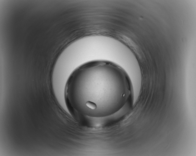 X0000089700405200707051647