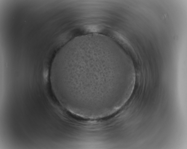 X0000089700406200707051647