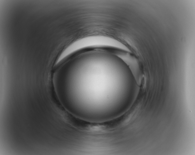 X0000089700407200707051647