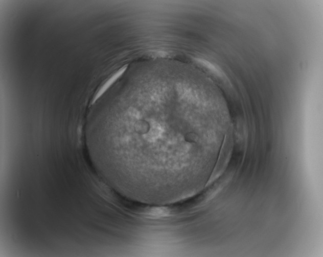 X0000089700409200707051647