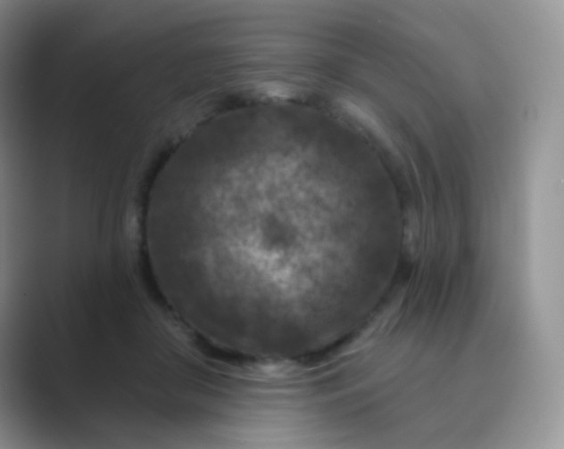 X0000089700410200707051647