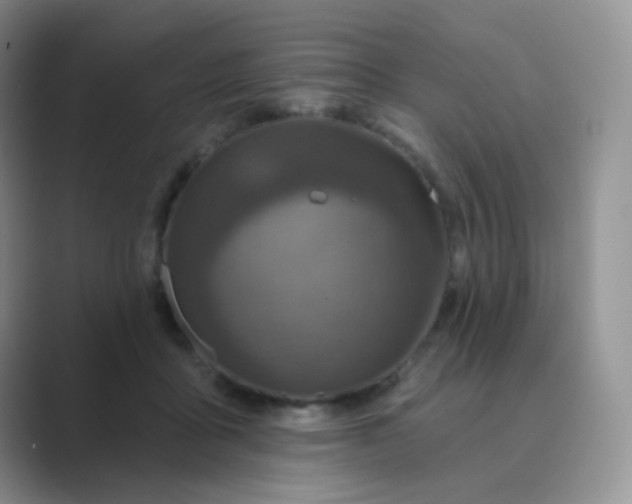 X0000089700411200707051647