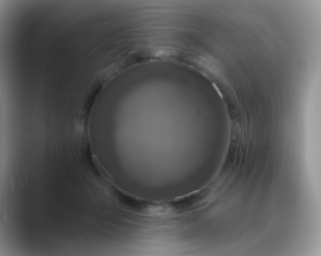 X0000089700415200707051647