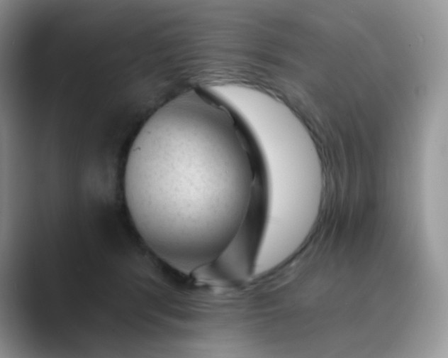 X0000089700416200707051647