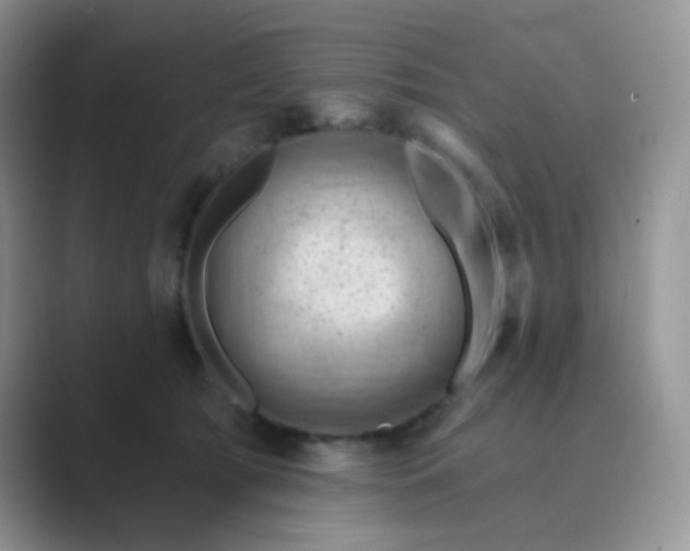 X0000089700417200707051647