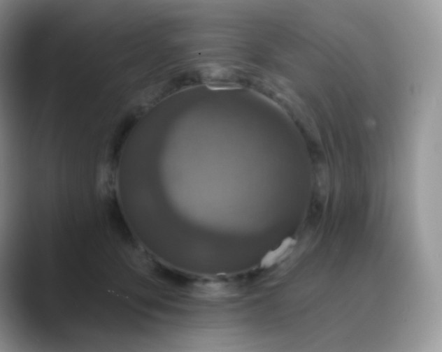 X0000089700419200707051647