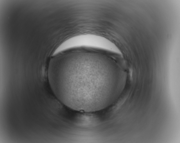 X0000089700420200707051647