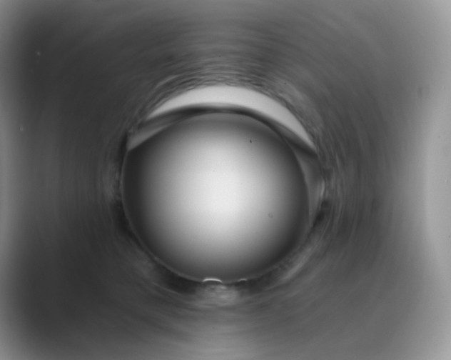 X0000089700421200707051647