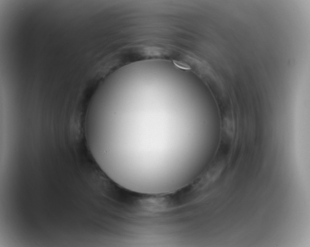 X0000089700422200707051647