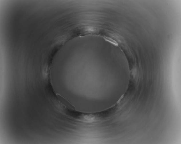 X0000089700423200707051647