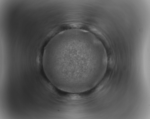 X0000089700424200707051647