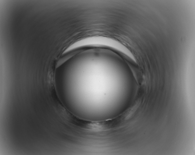 X0000089700425200707051647