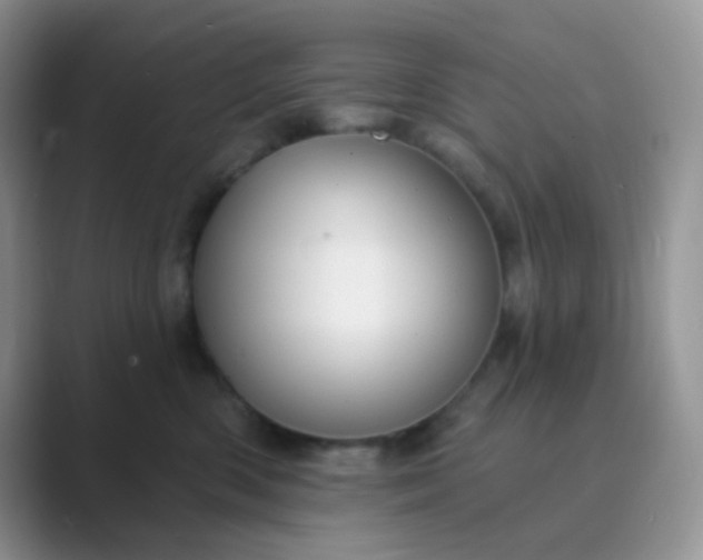 X0000089700426200707051647