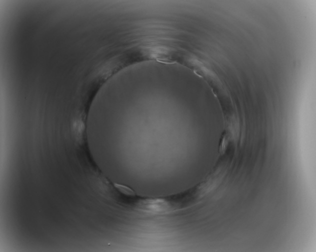 X0000089700427200707051647