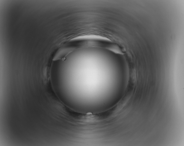 X0000089700428200707051647