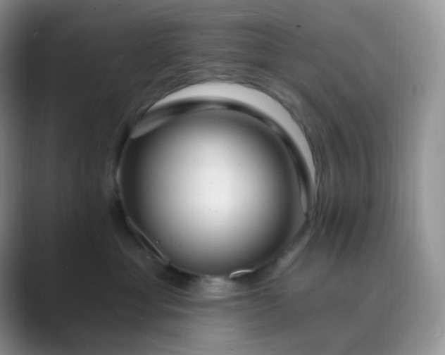 X0000089700429200707051647