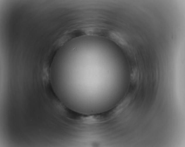 X0000089700430200707051647