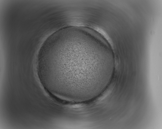 X0000089700433200707051646