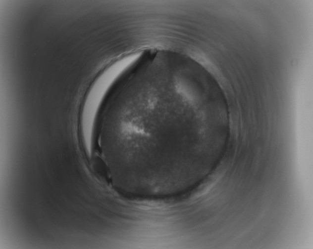 X0000089700434200707051646