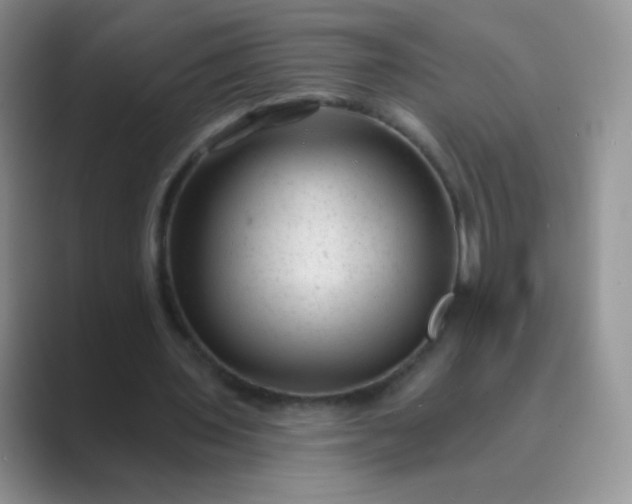 X0000089700435200707051646