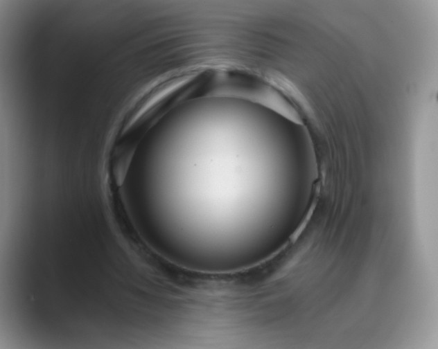 X0000089700436200707051646